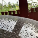 Borophene Coating | 10H+ Detailers Edition photo review